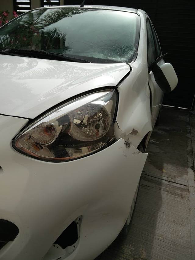 Wynajęte auto po zderzeniu ze zwierzęciem
