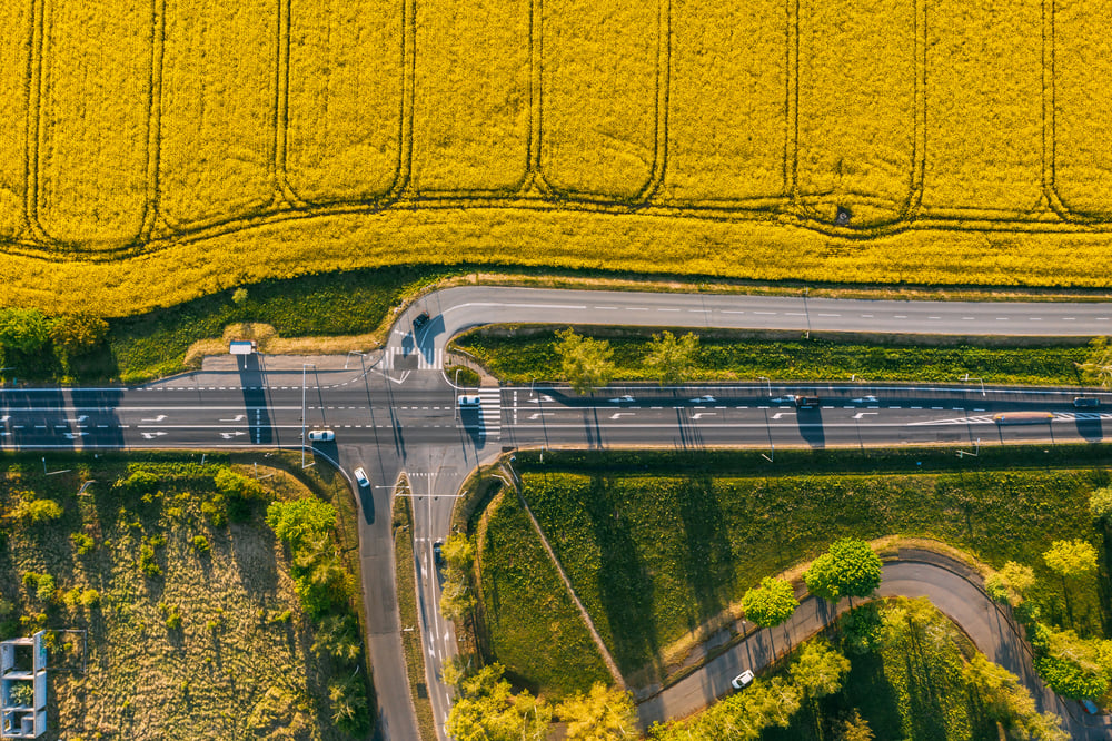 Żółte pola na poboczu autostrady
